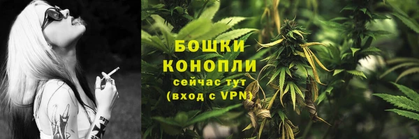 ГАЛЛЮЦИНОГЕННЫЕ ГРИБЫ Баксан