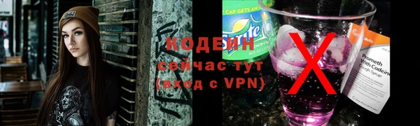 шишки Белокуриха