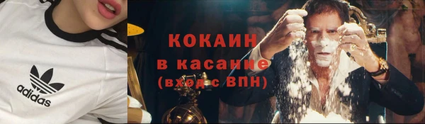 ГАЛЛЮЦИНОГЕННЫЕ ГРИБЫ Баксан