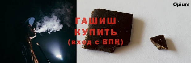 шишки Белокуриха