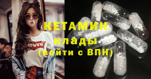 шишки Белокуриха