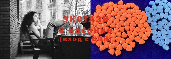 шишки Белокуриха